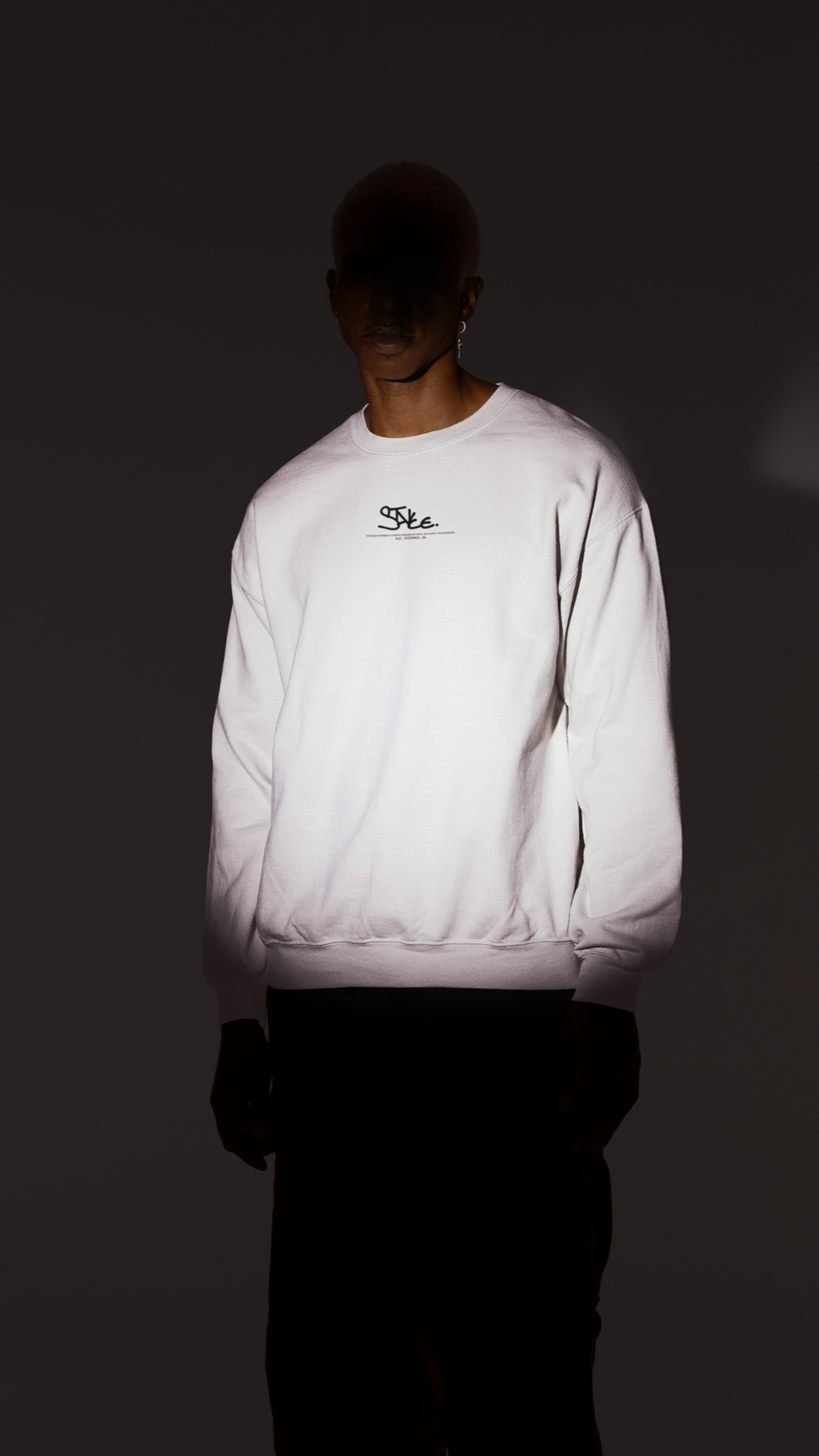 Moletom ALC STAYCE©