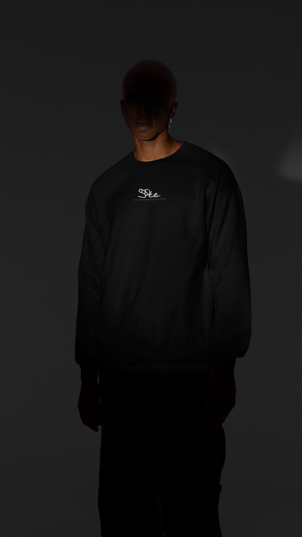 Moletom ALC STAYCE©